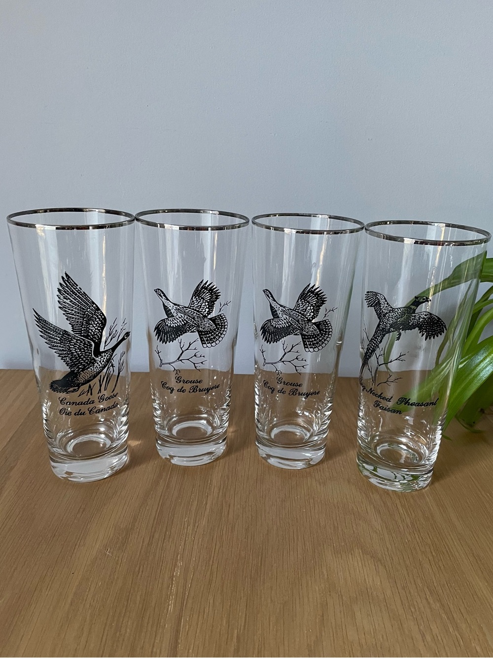 Vintage Federal Glass Sportsman Game Bird Highball Glasses Silver Rim Set of 4